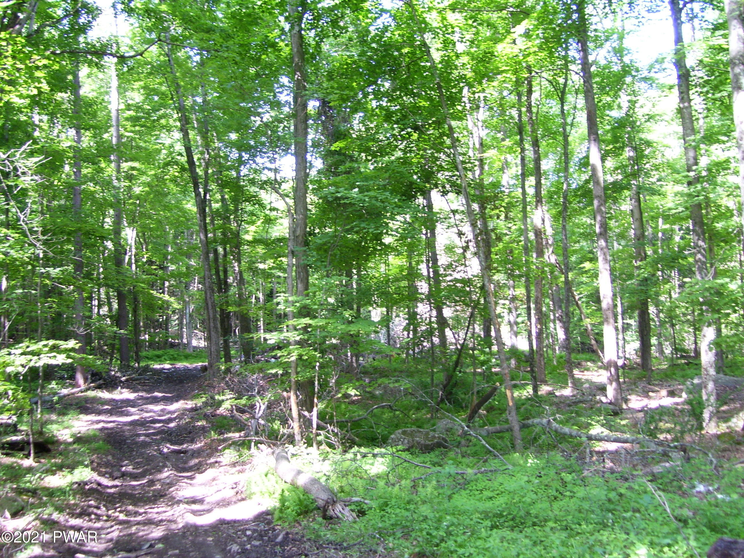 0 Forks Bridge Road Newfoundland, PA 18445 - Photo 14 of 16