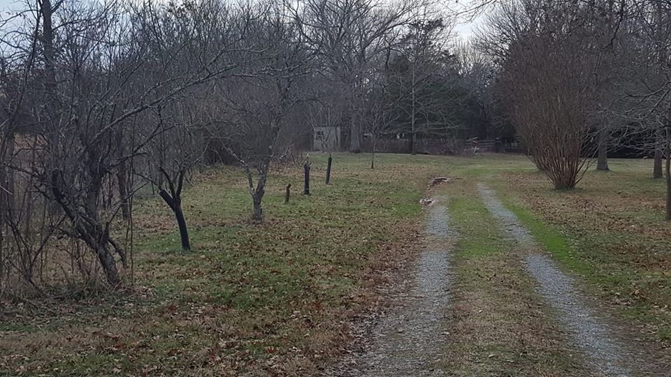 1 Murray-Kittrell Road Readyville, TN 37149 - Photo 1 of 3 Gallery Image 1
