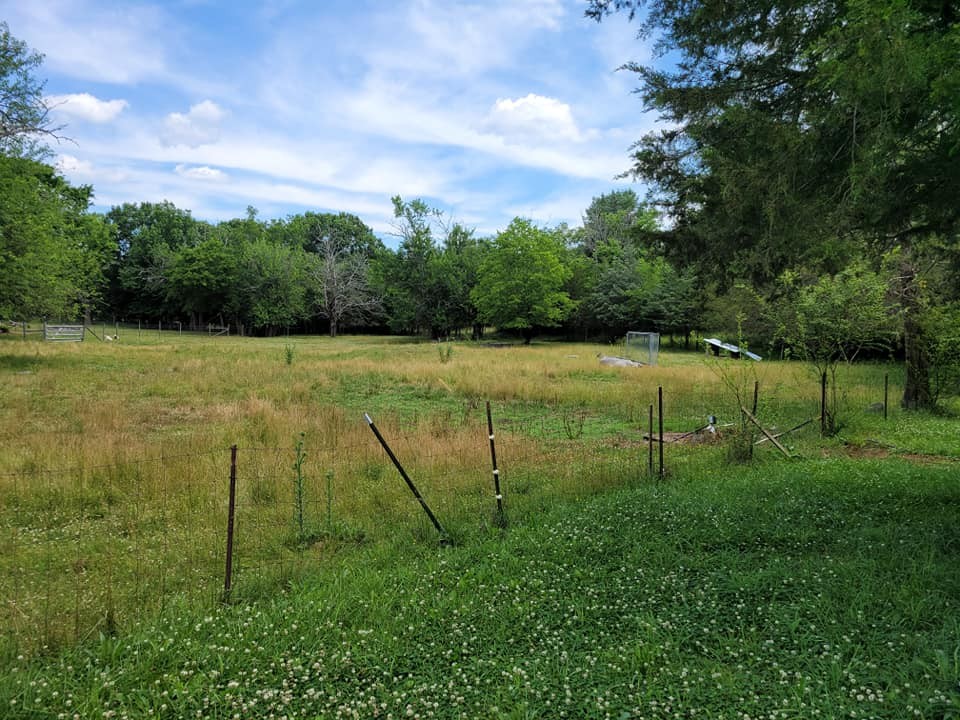 1 Murray-Kittrell Road Readyville, TN 37149 - Photo 3 of 3 Gallery Image 3