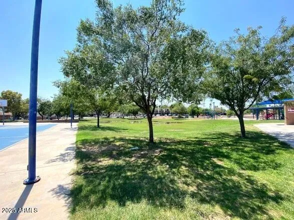 a view of a yard with a tree