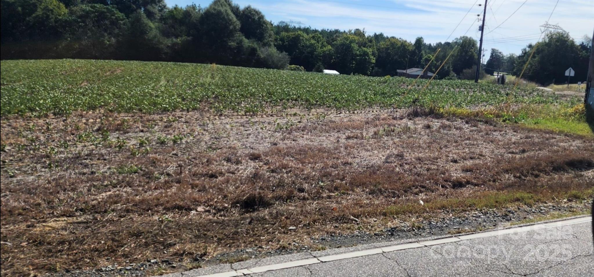 0 Old Pageland Marshville Road Wingate, NC 28174 - Photo 2 of 14