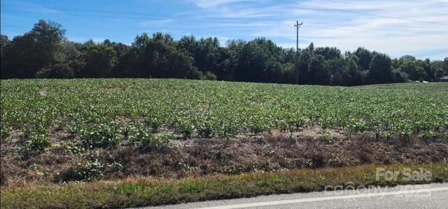 $299,000 | 0 Old Pageland Marshville Road, Wingate, NC 28174