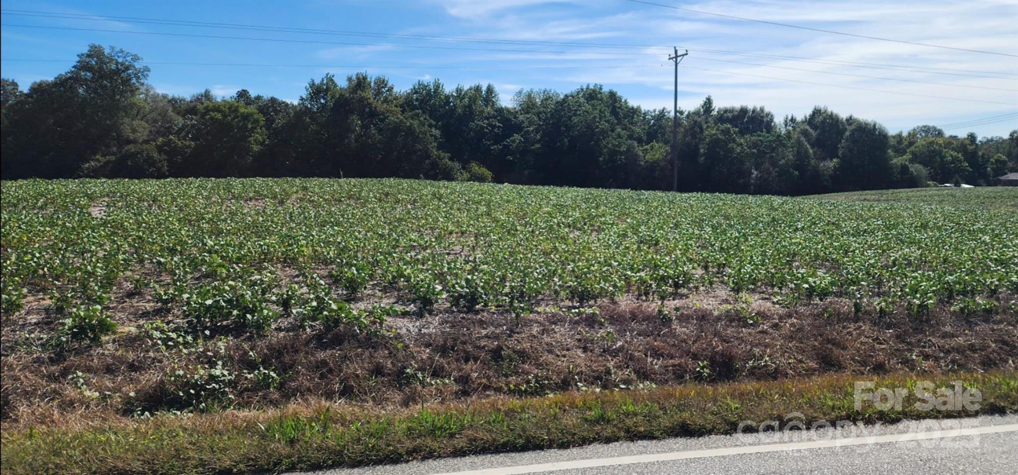 0 Old Pageland Marshville Road Wingate, NC 28174 - Photo 3 of 14