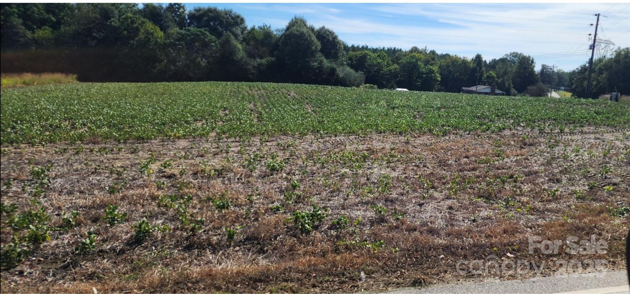 0 Old Pageland Marshville Road Wingate, NC 28174 - Photo 4 of 14