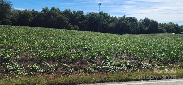 $299,000 | 0 Old Pageland Marshville Road, Wingate, NC 28174