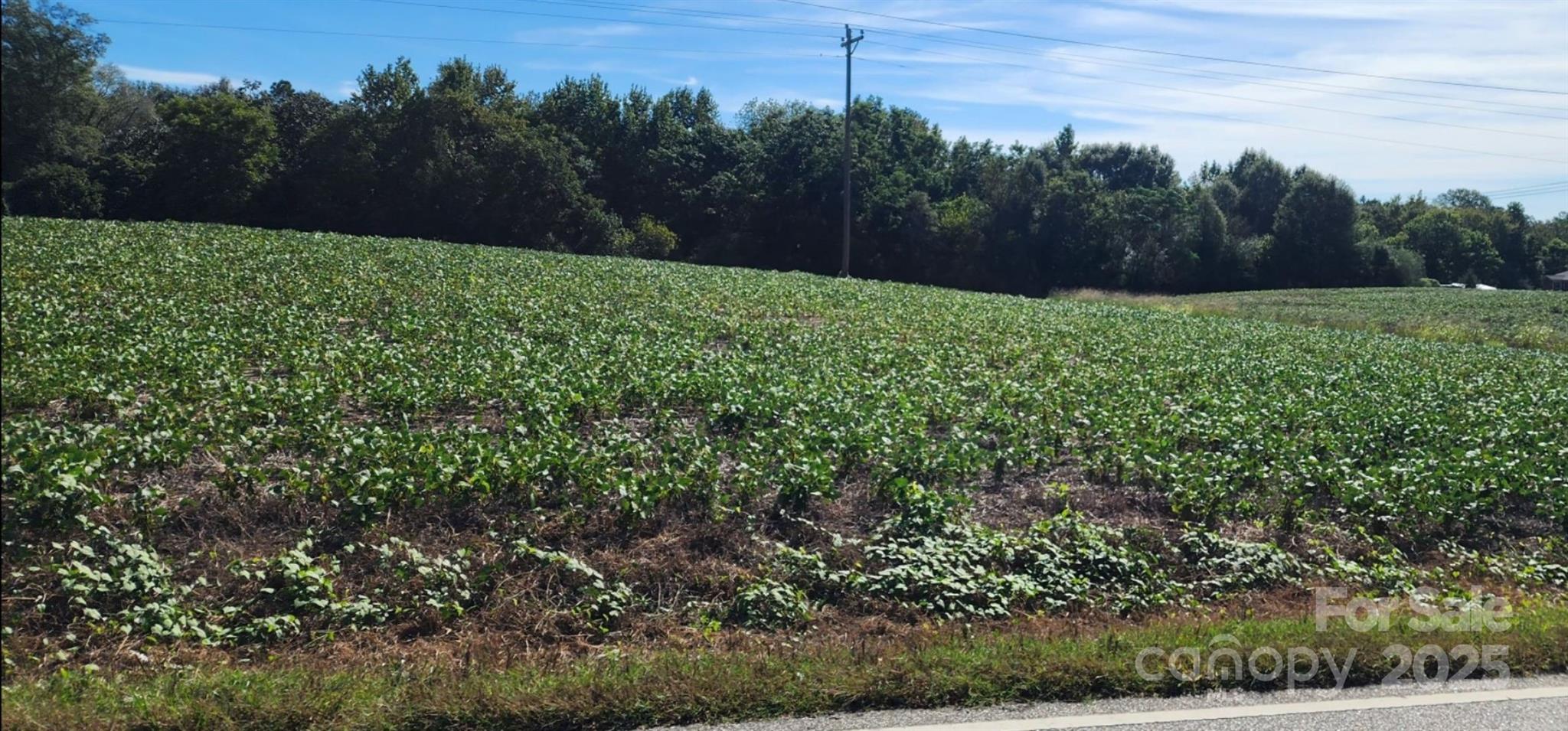 0 Old Pageland Marshville Road Wingate, NC 28174 - Photo 5 of 14