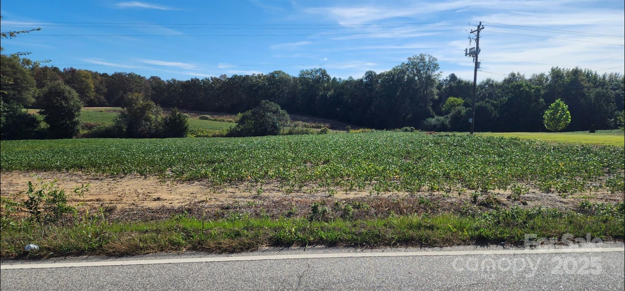 0 Old Pageland Marshville Road Wingate, NC 28174 - Photo 6 of 14