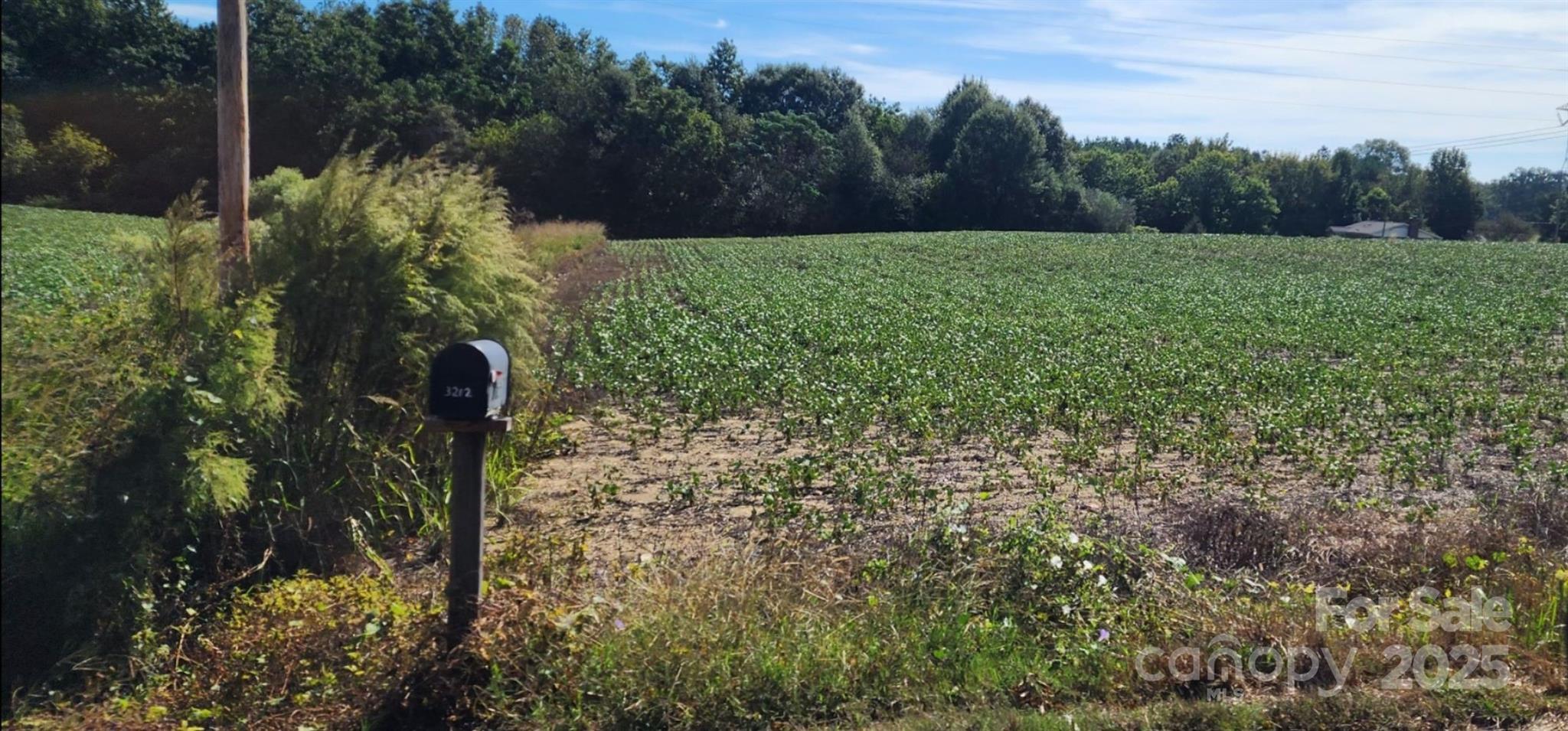 0 Old Pageland Marshville Road Wingate, NC 28174 - Photo 8 of 14