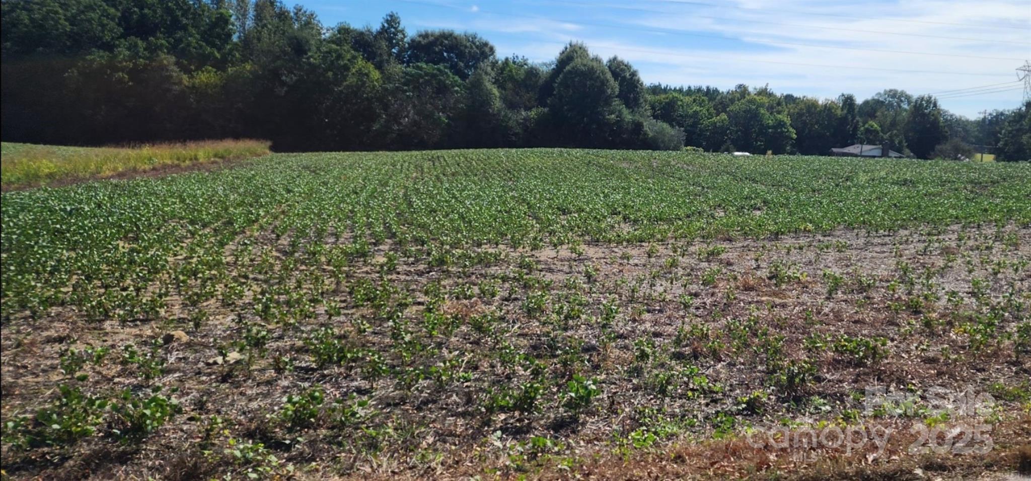 0 Old Pageland Marshville Road Wingate, NC 28174 - Photo 9 of 14