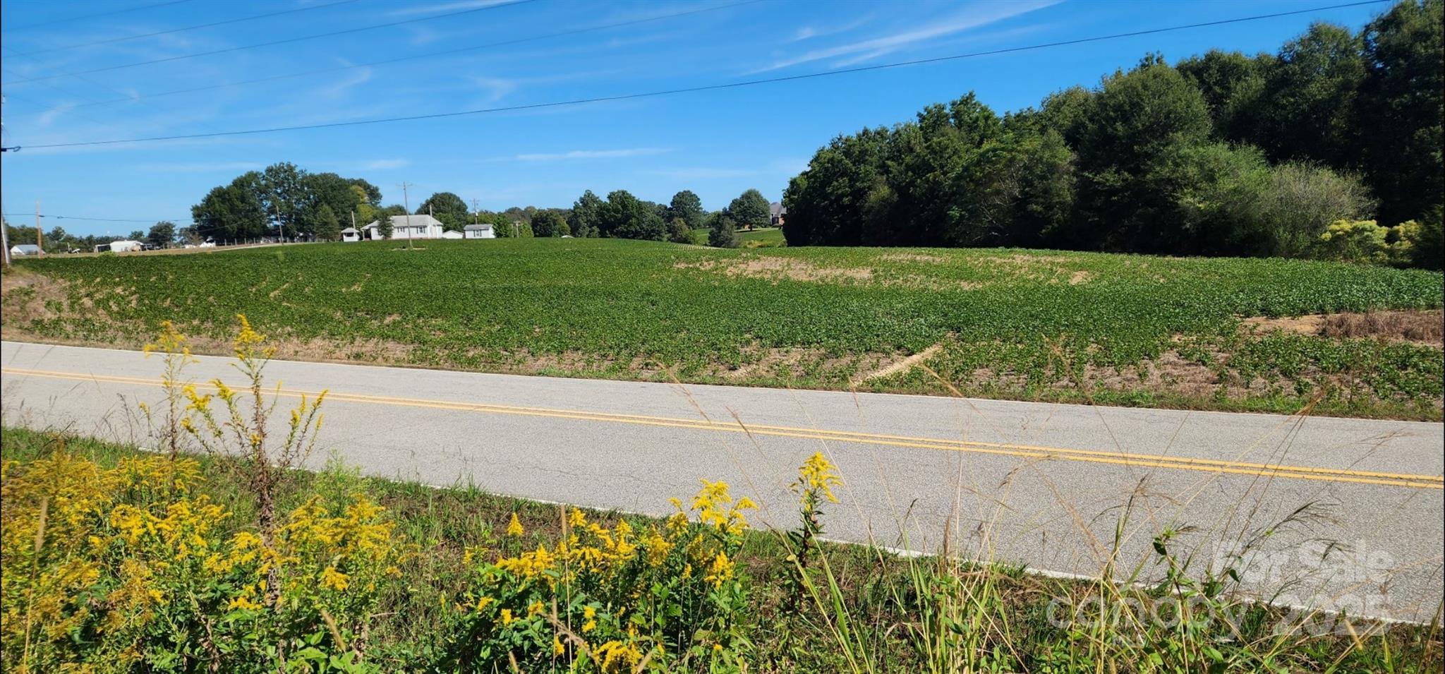 0 Old Pageland Marshville Road Wingate, NC 28174 - Photo 10 of 14