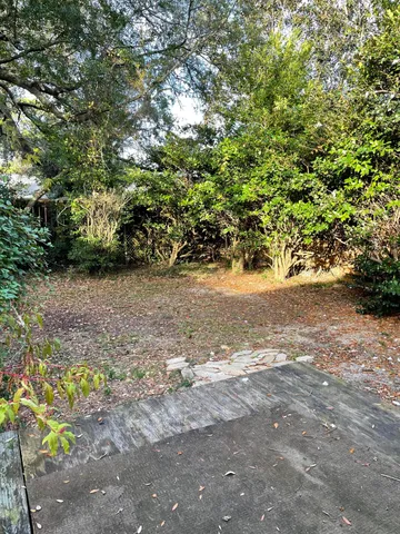 a view of a yard with plants and trees