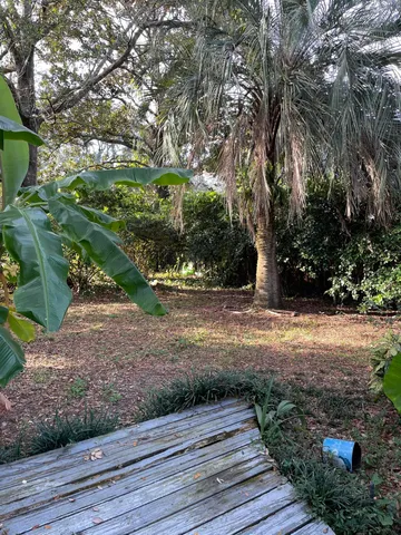 a view of a yard with plants and trees