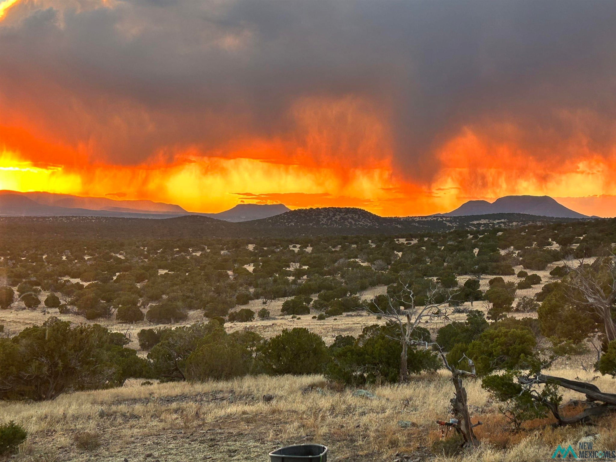 27 Metate Lane Datil, NM 87821 - Photo 83 of 90 Gallery Image 83