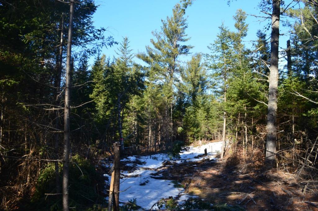 0 Park Street Springfield, ME 04487 - Photo 15 of 24 Photo