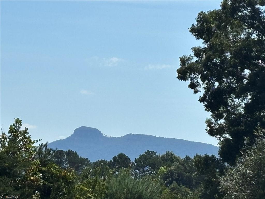 150 Springfield Road Pilot Mountain, NC 27041 - Photo 6 of 30 View from Back Covered Porch