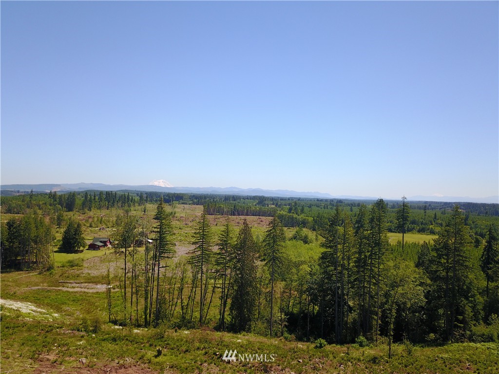 0 Cristler Road Chehalis, WA 98532 - Photo 2 of 18