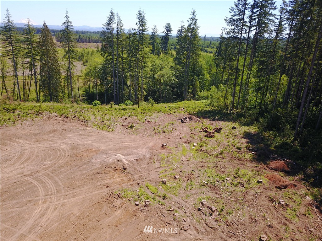 0 Cristler Road Chehalis, WA 98532 - Photo 16 of 18