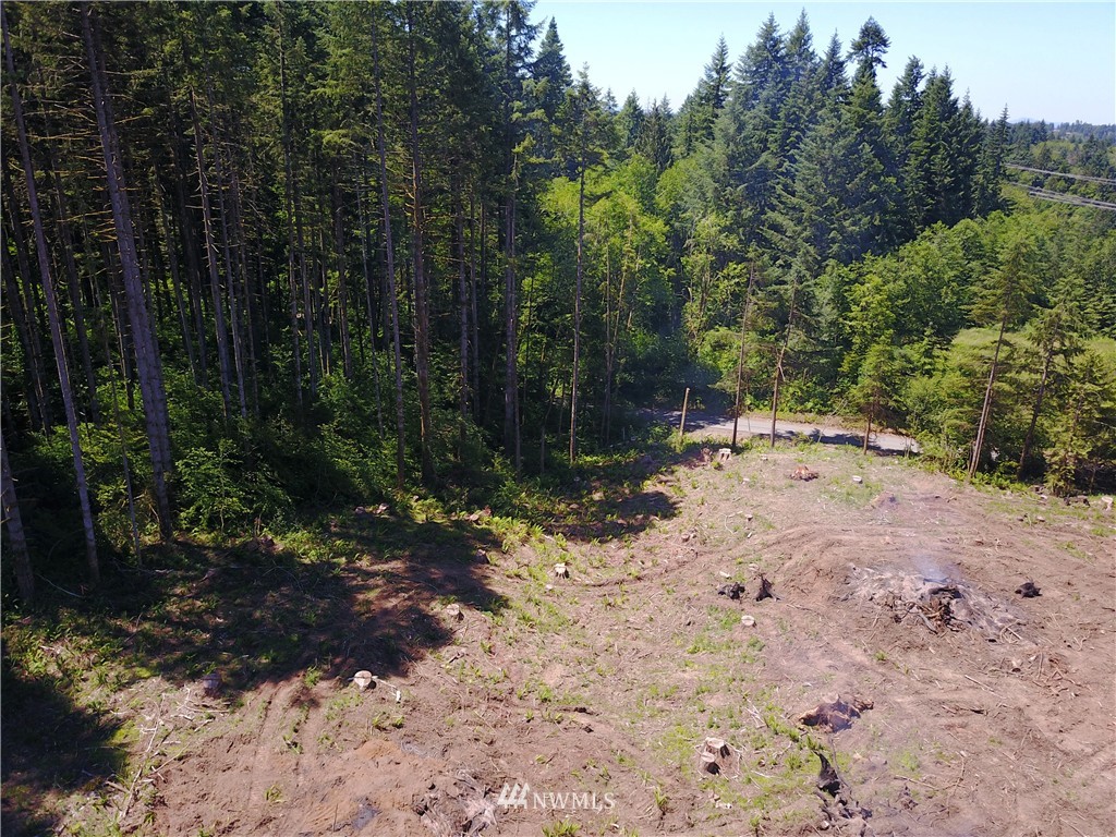 0 Cristler Road Chehalis, WA 98532 - Photo 17 of 18