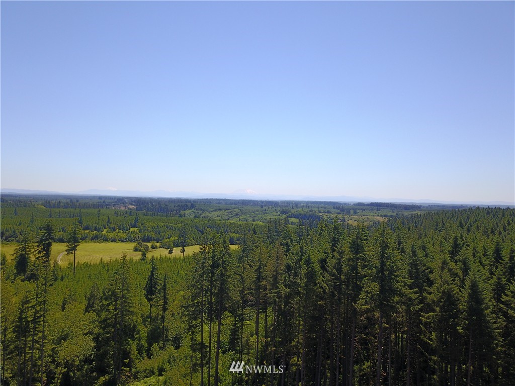 0 Cristler Road Chehalis, WA 98532 - Photo 10 of 18