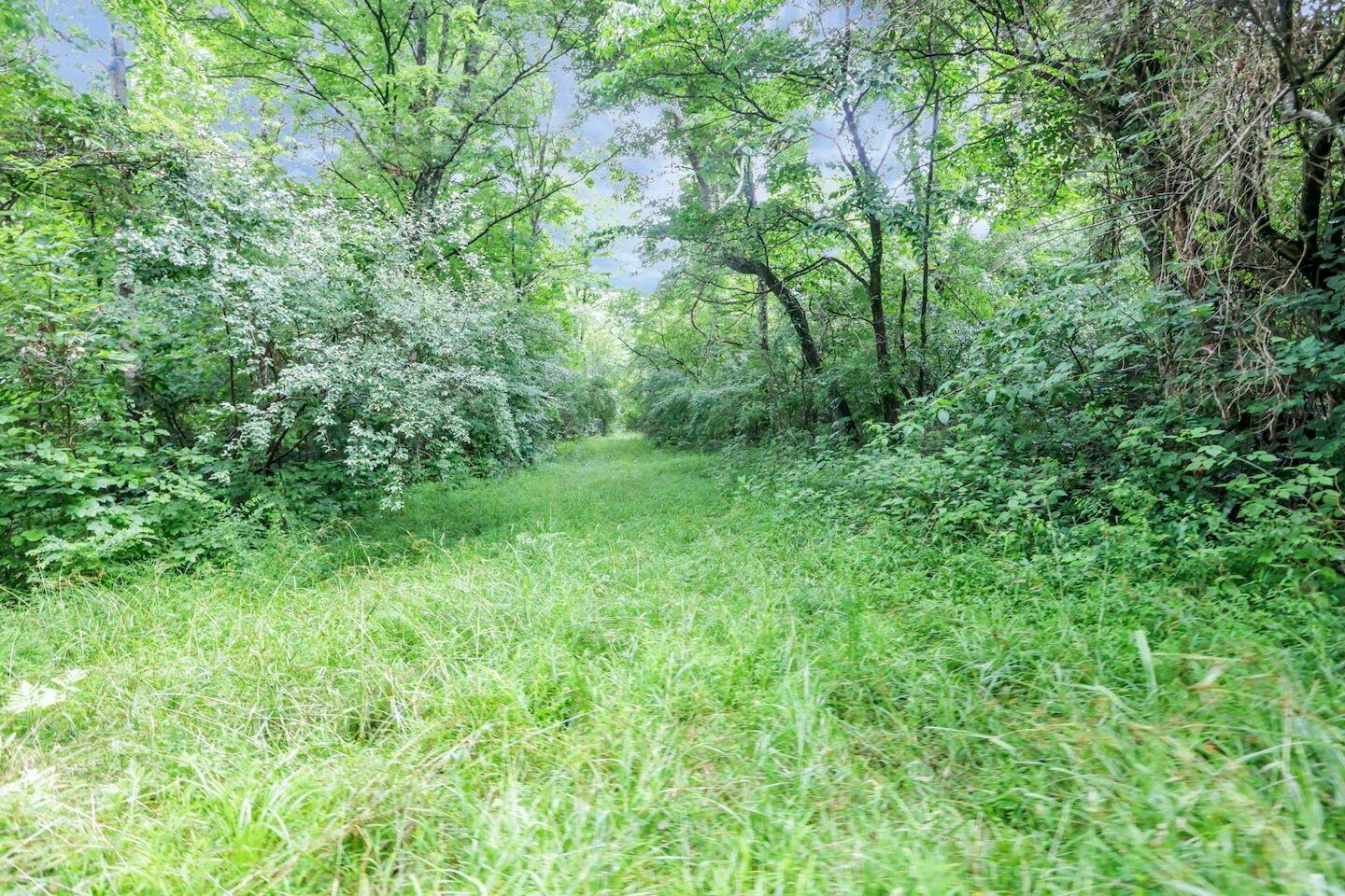 16749 Mush Run Road Athens, OH 45701 - Photo 7 of 37 11-web-or-mls-LO5A4532