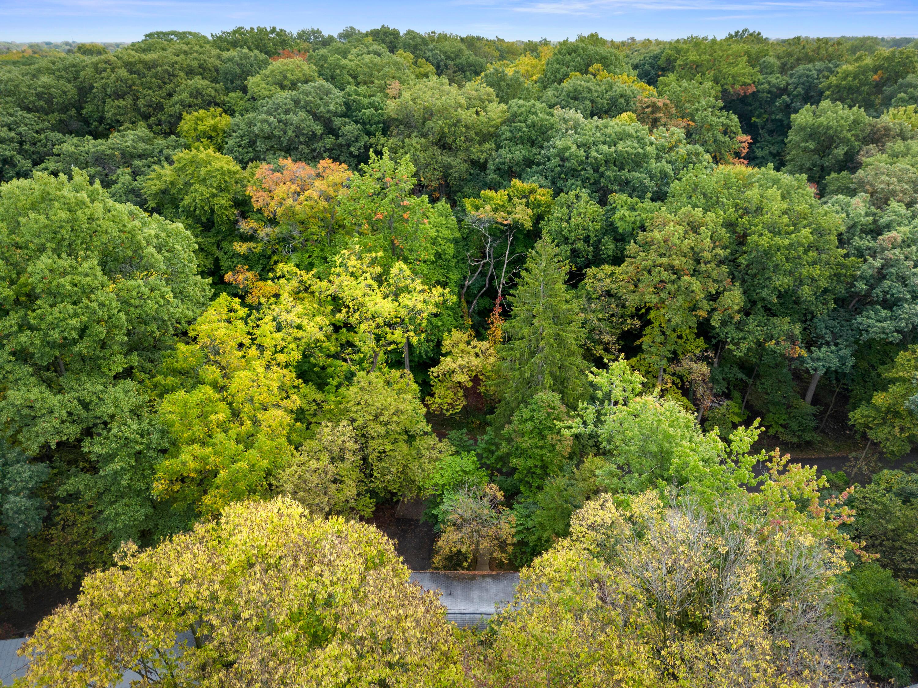 300 Walhalla Road Columbus, OH 43202 - Photo 50 of 50 Exterior Drone
