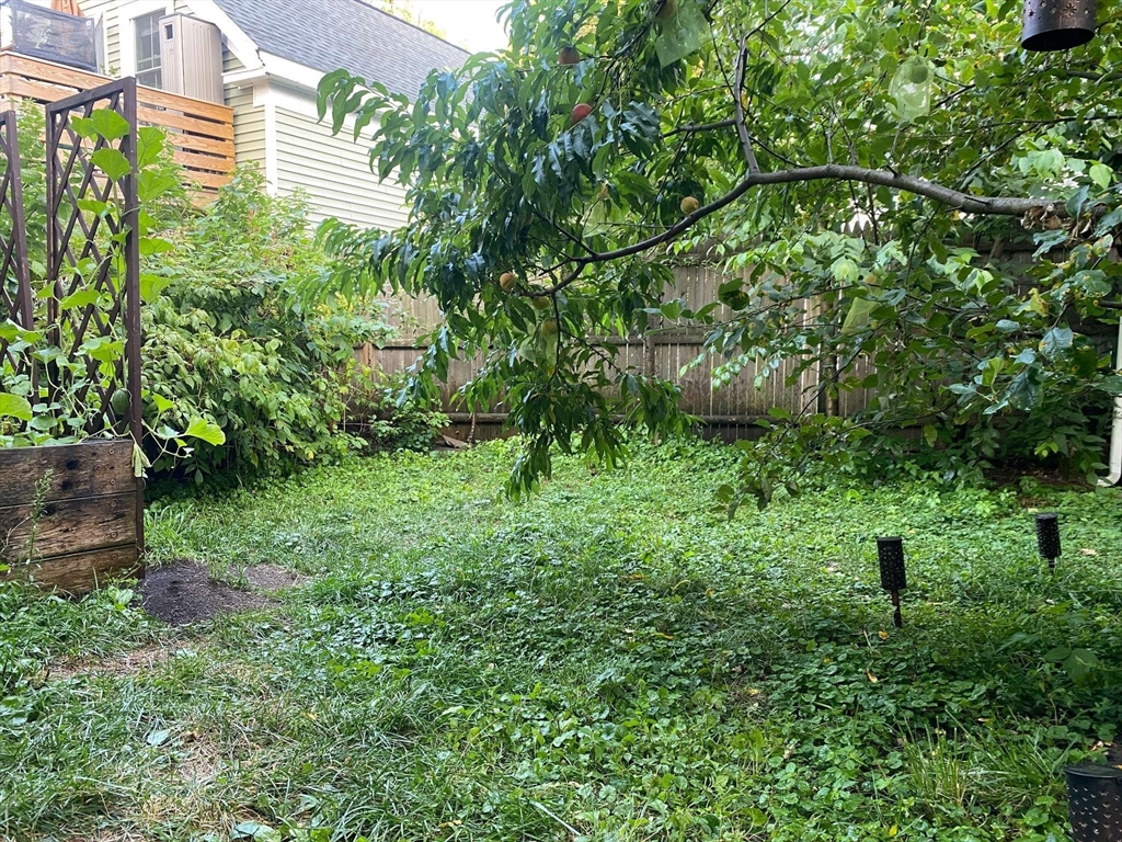8 May Street Beverly, MA 01915 - Photo 22 of 25 a backyard of a house with lots of green space
