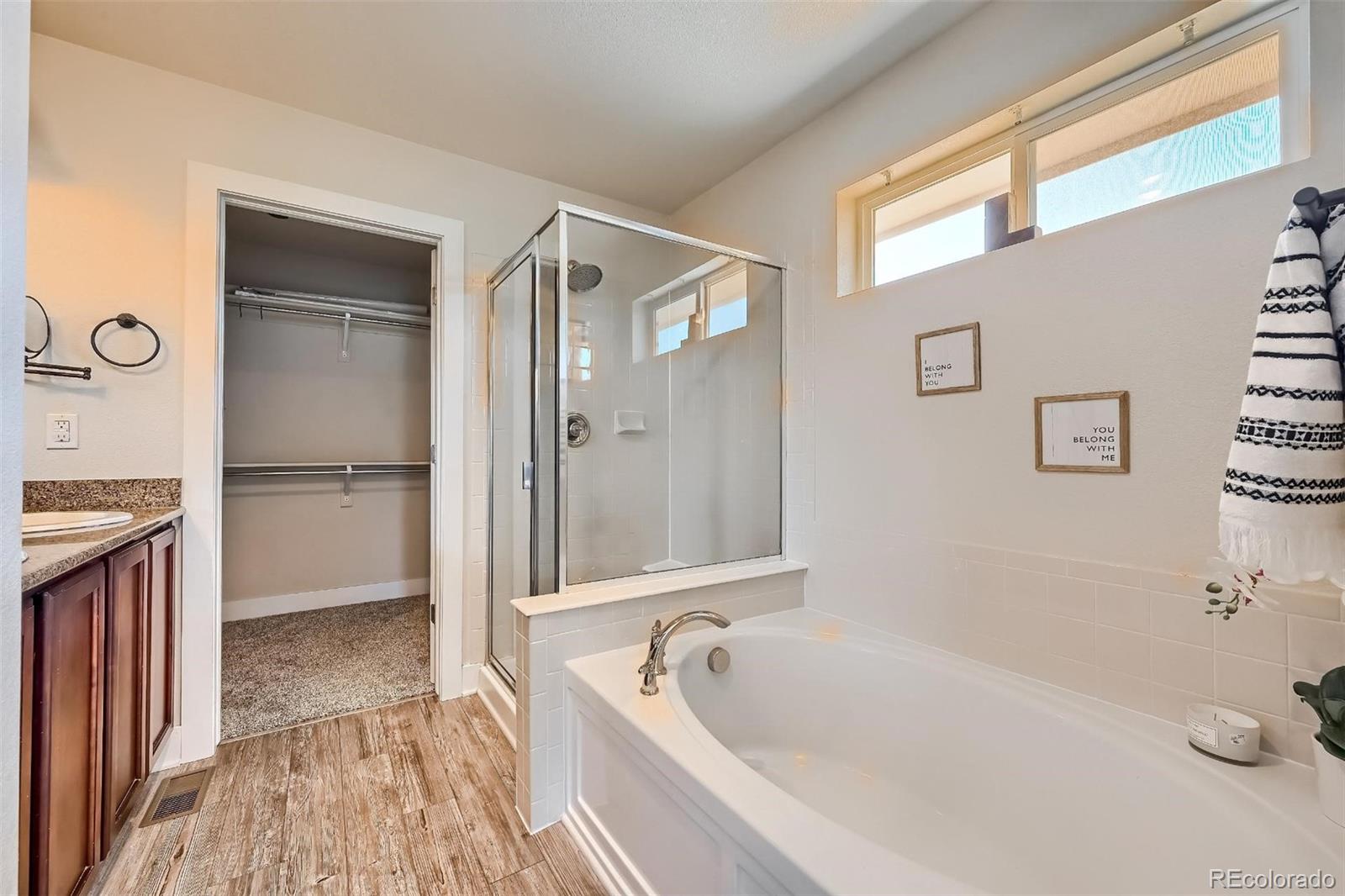 10503 Rutledge Street Parker, CO 80134 - Photo 16 of 21 Gallery Image 16