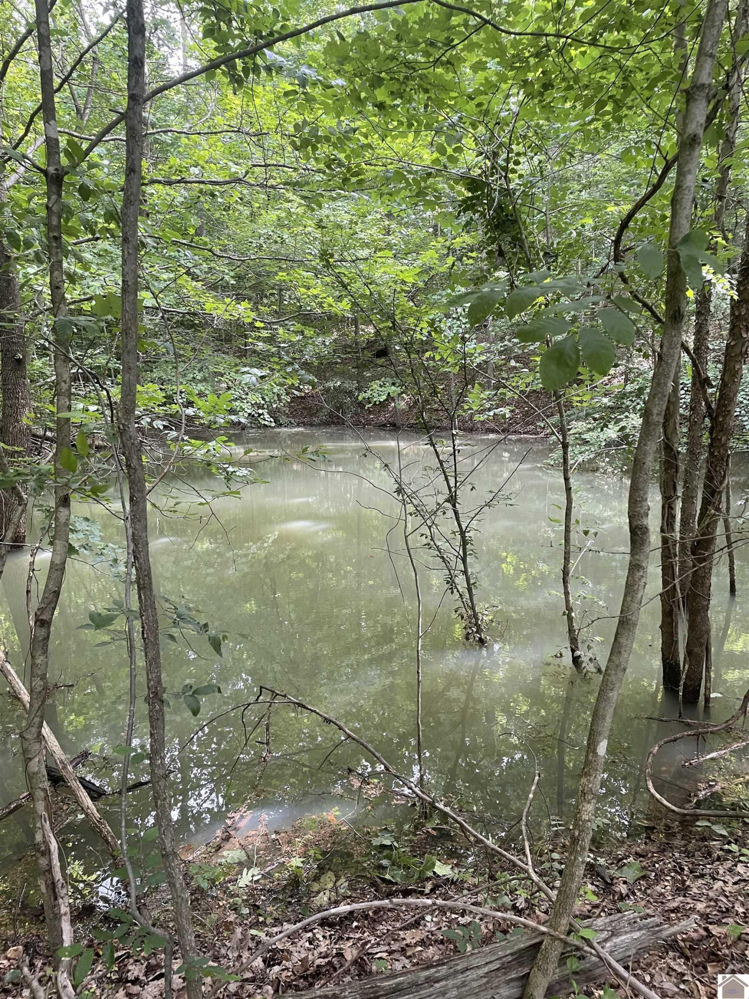 3642 Linton Road Cadiz, KY 42211 - Photo 15 of 18 Photo 15