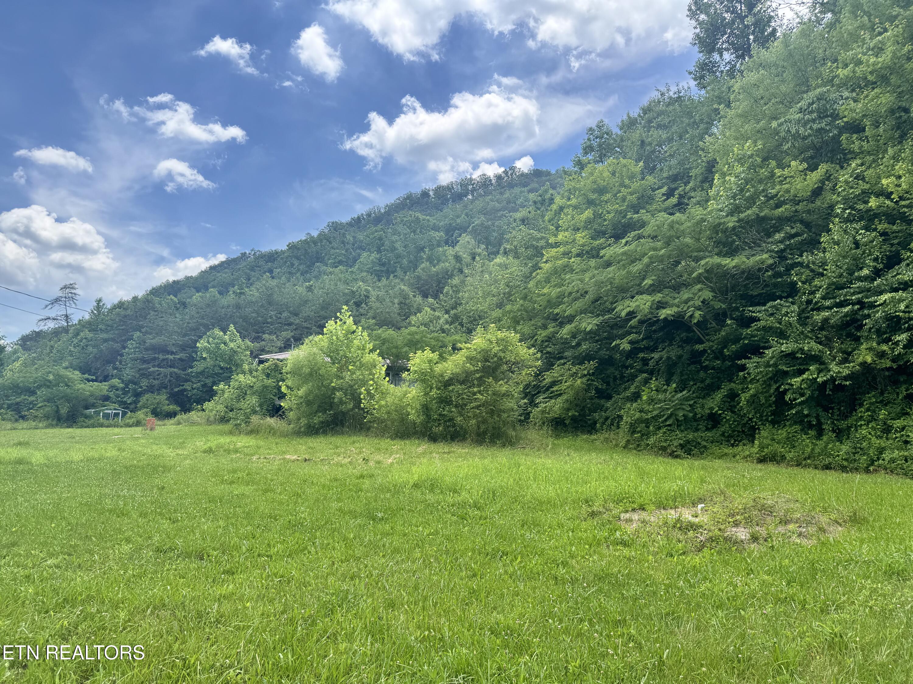 955 Rock Haven Road Bean Station, TN 37708 - Photo 12 of 23 Big House Side Yard 2
