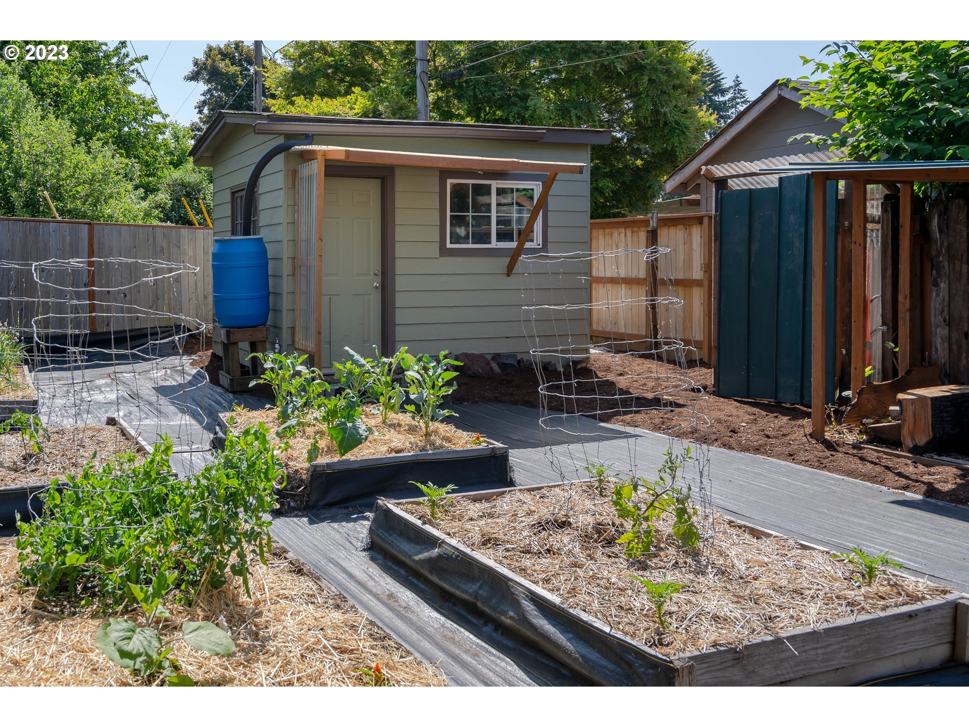 1670 Linden Avenue Springfield, OR 97477 - Photo 23 of 28 a view of house with backyard outdoor seating and green space