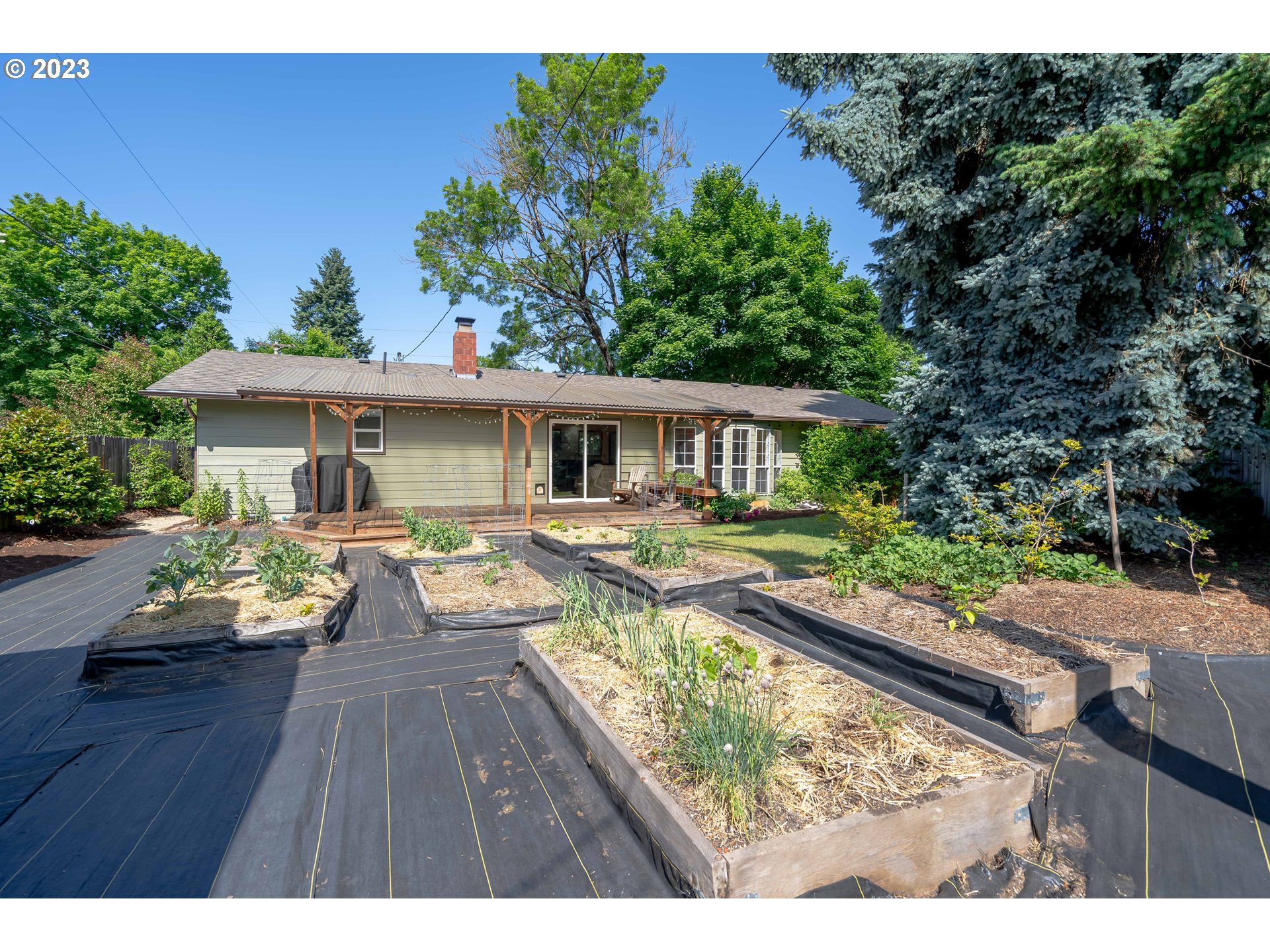 1670 Linden Avenue Springfield, OR 97477 - Photo 24 of 28 a view of swimming pool with lounge chair