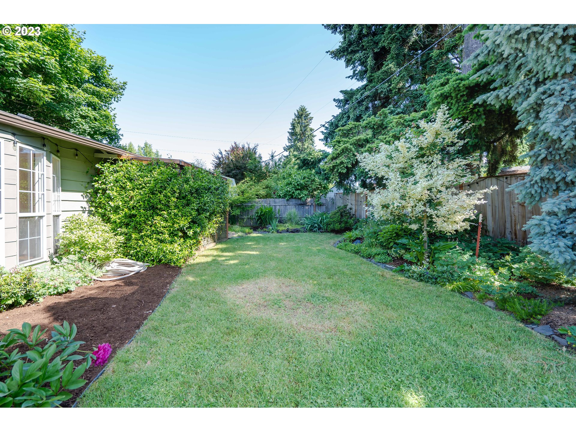 1670 Linden Avenue Springfield, OR 97477 - Photo 27 of 28 a view of a yard with a tree