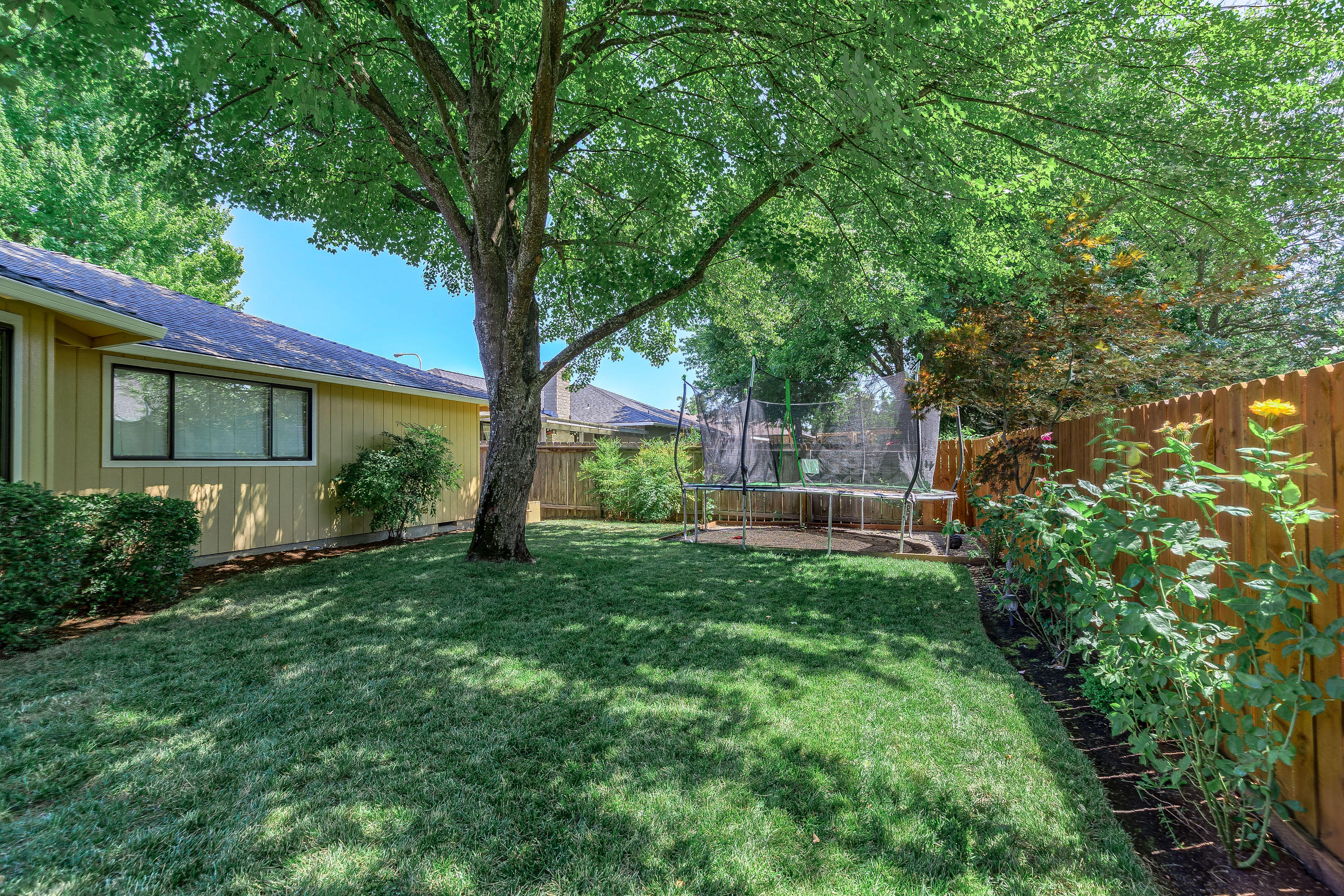 2572 Roberts Road Medford, OR 97504 - Photo 29 of 33 Beautiful Shade Tree in Back Yard