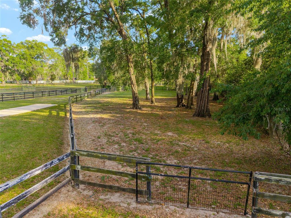 8117 Southwest 41st Place Road Ocala, FL 34481 - Photo 13 of 55