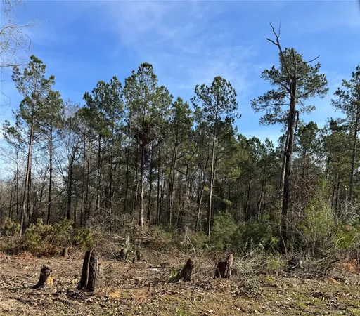 $180,000 | 5850 Alford Oaks Drive, Beaumont, TX 77713