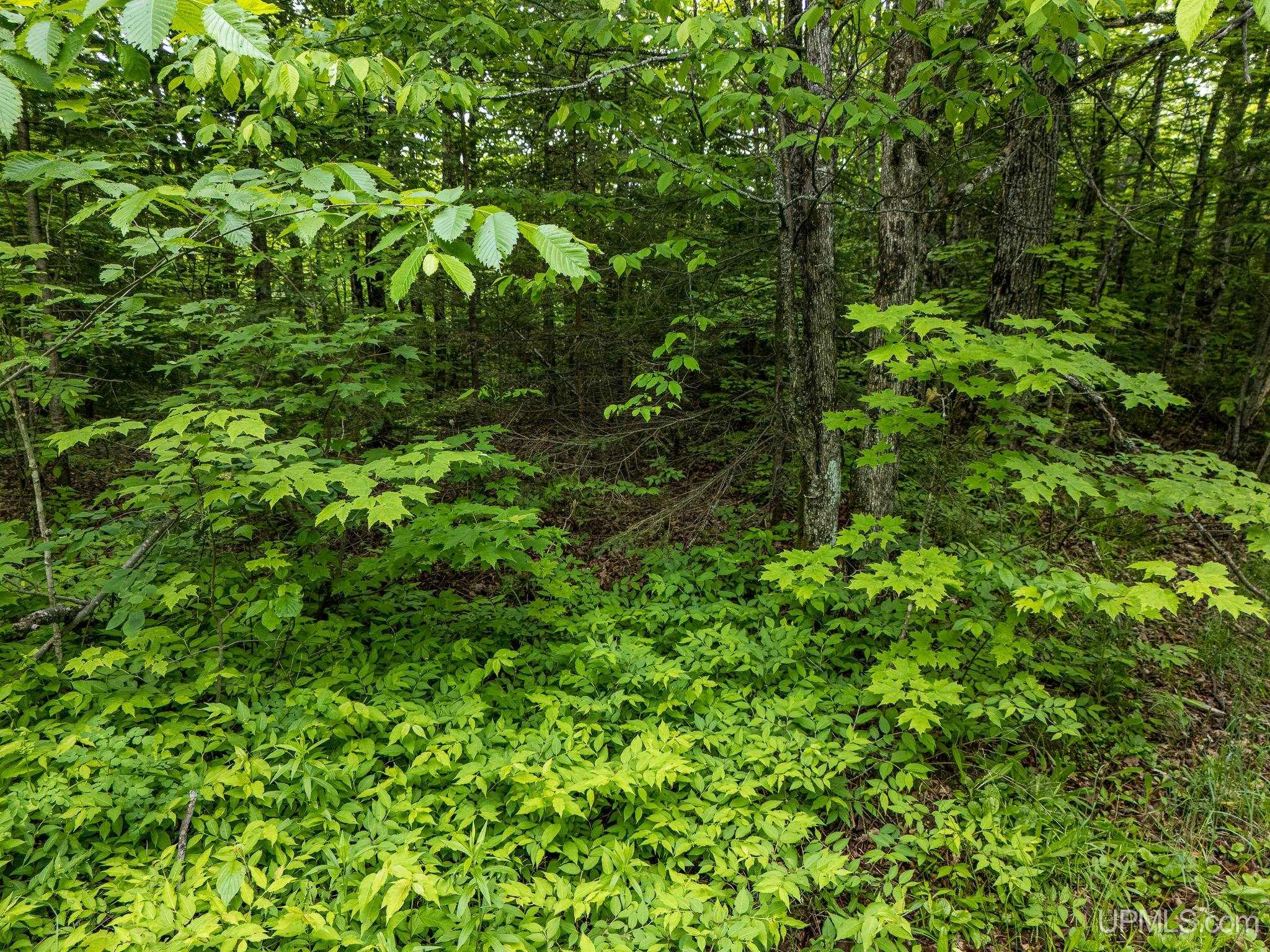 4 Grade Road Wakefield, MI 49968 - Photo 5 of 15