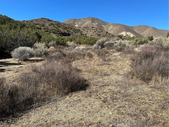 a view of a dry yard with mountains in the background