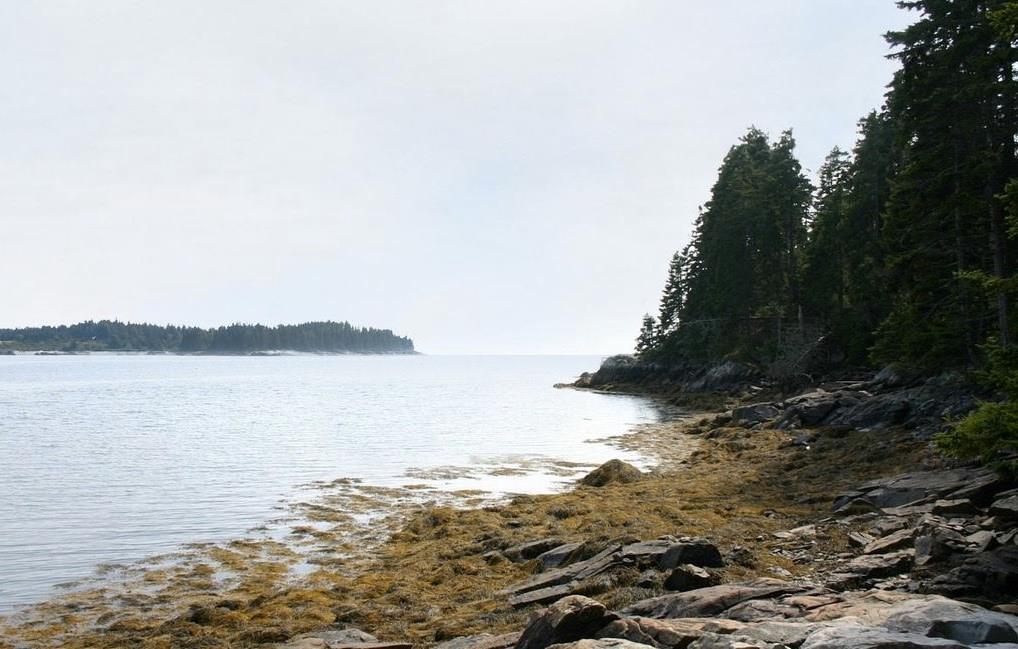 376 Tip Toe Mountain Road Vinalhaven, ME 04863 - Photo 16 of 22 Photo