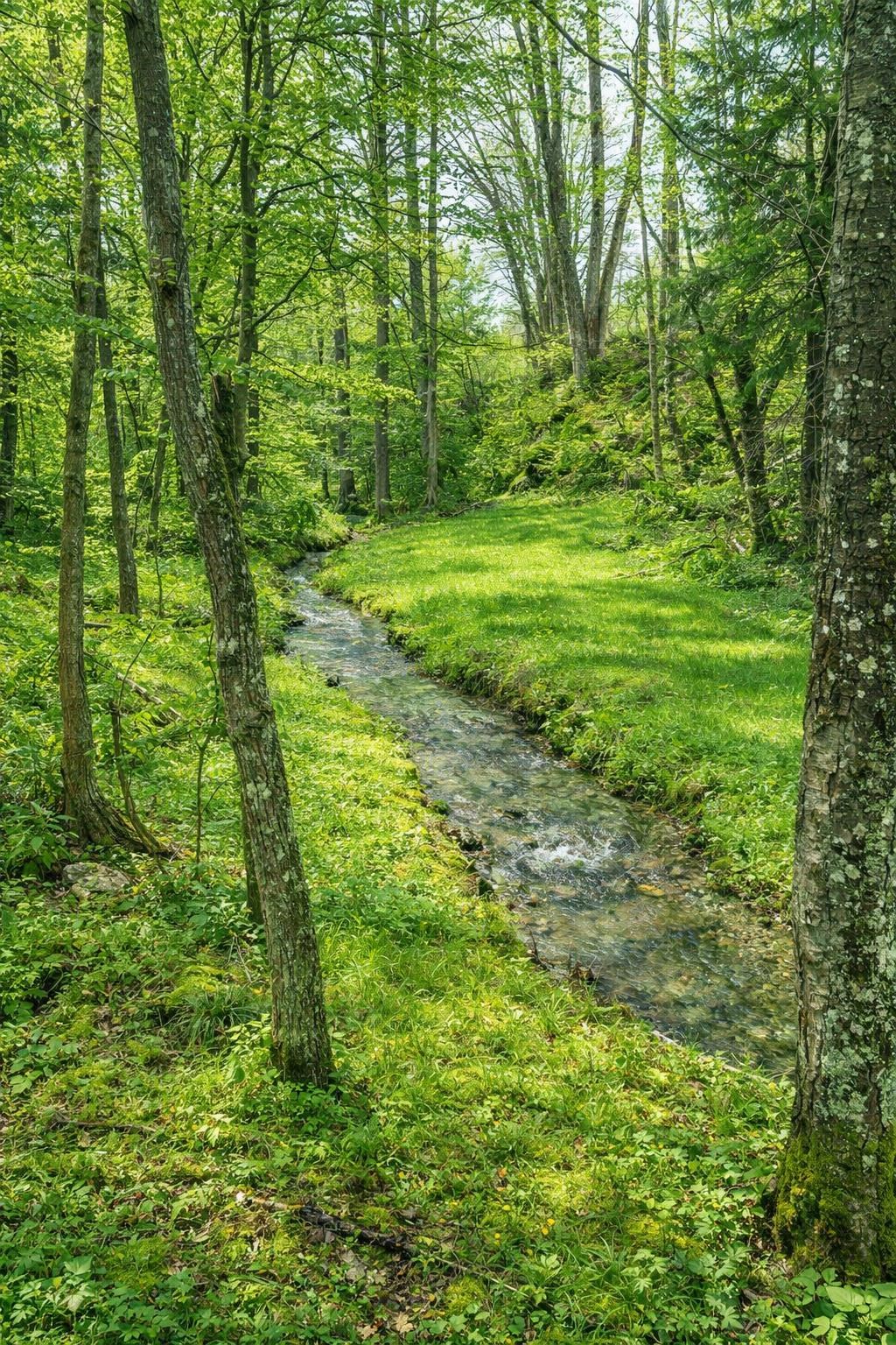 223 Deming Road Enosburg Falls, VT 05450 - Photo 7 of 10
