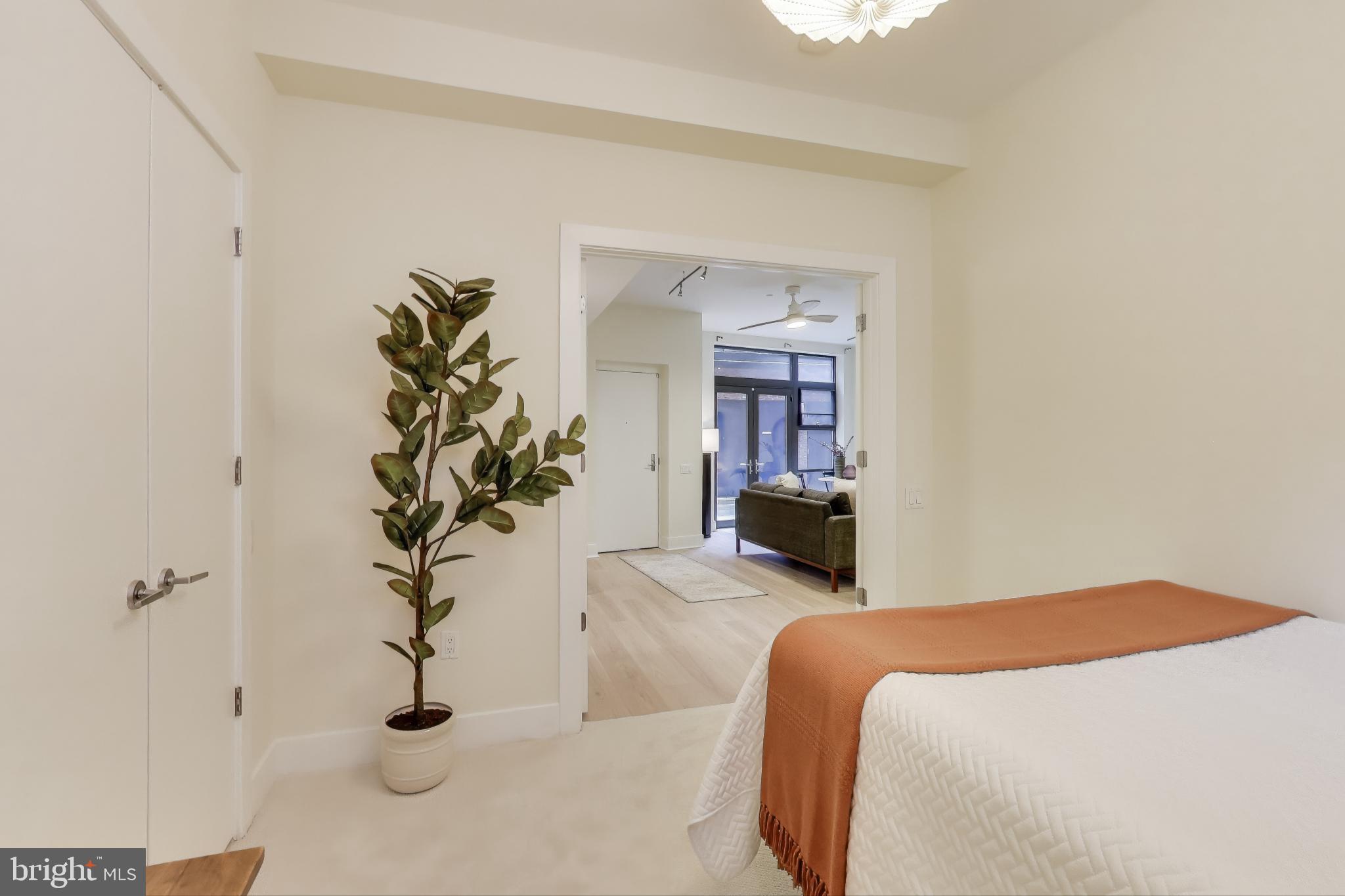 2426 Ontario Road Northwest, Unit 101 Washington, DC 20009 - Photo 14 of 22 a bedroom with a bed and a potted plant