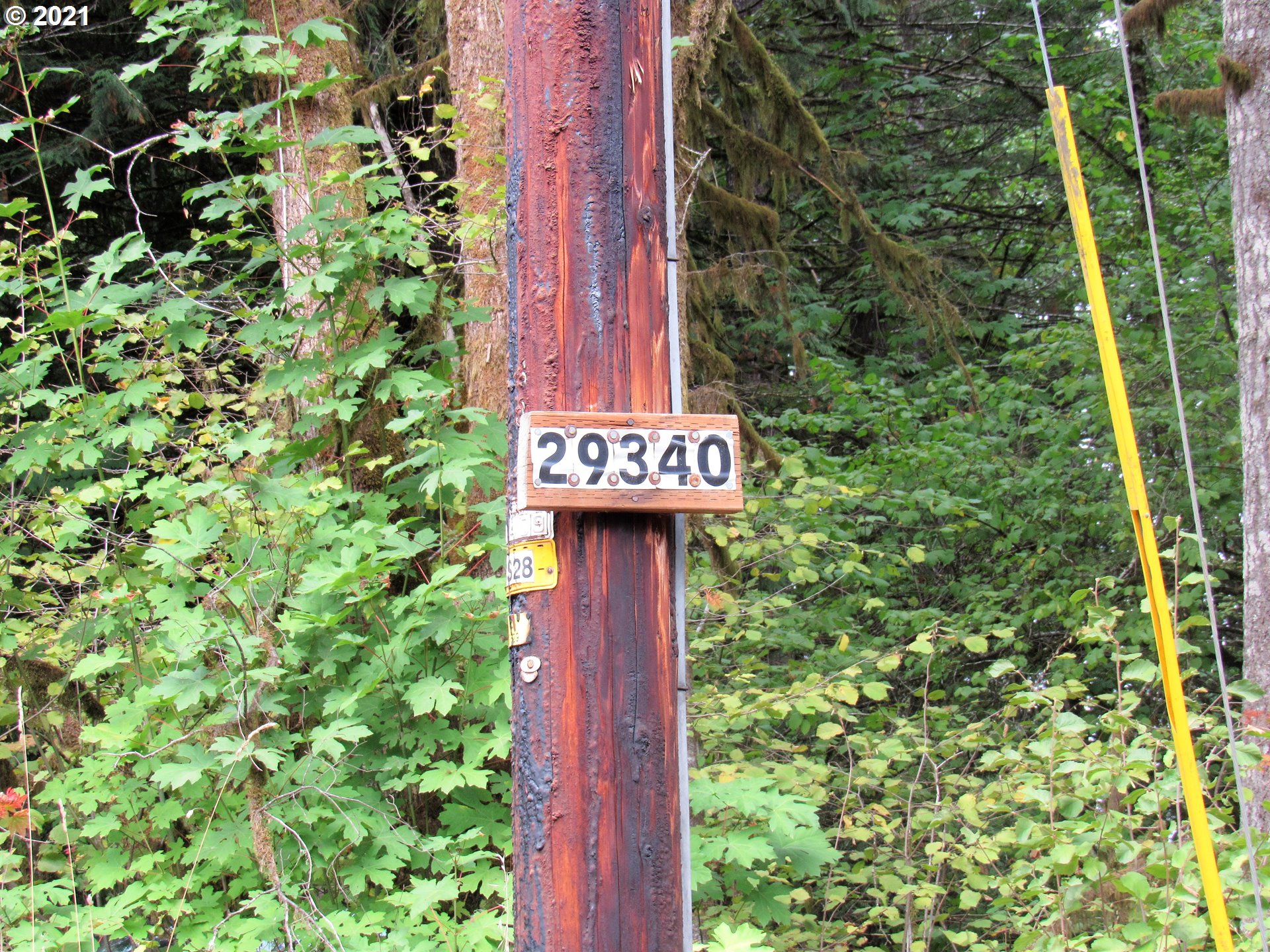 29340 Northwest Nowakowski Road Buxton, OR 97109 - Photo 4 of 32 Gallery Image 4