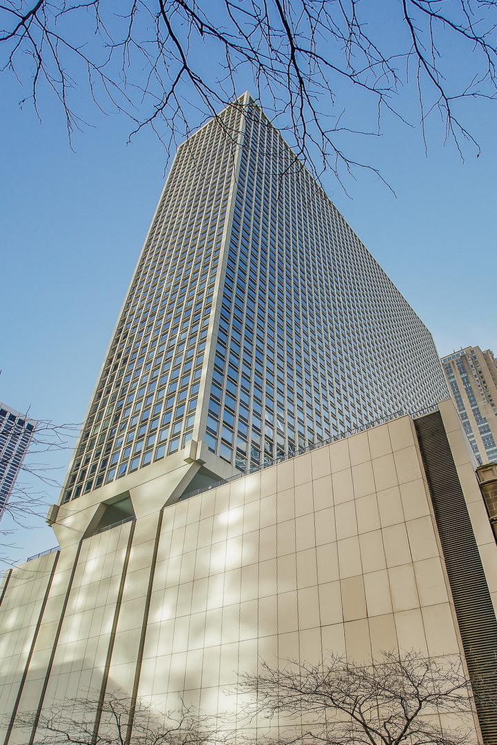 111 East Chestnut Street, Unit 46G Chicago, IL 60611 - Photo 2 of 16