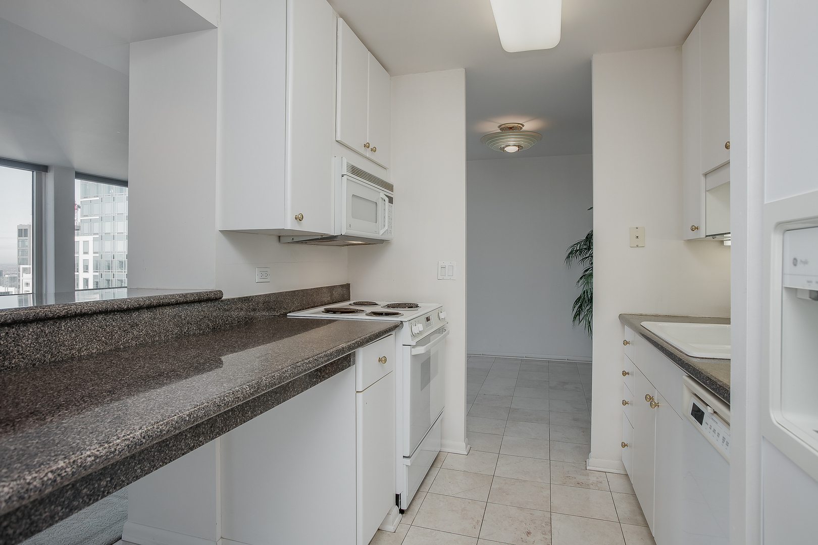 111 East Chestnut Street, Unit 46G Chicago, IL 60611 - Photo 8 of 16