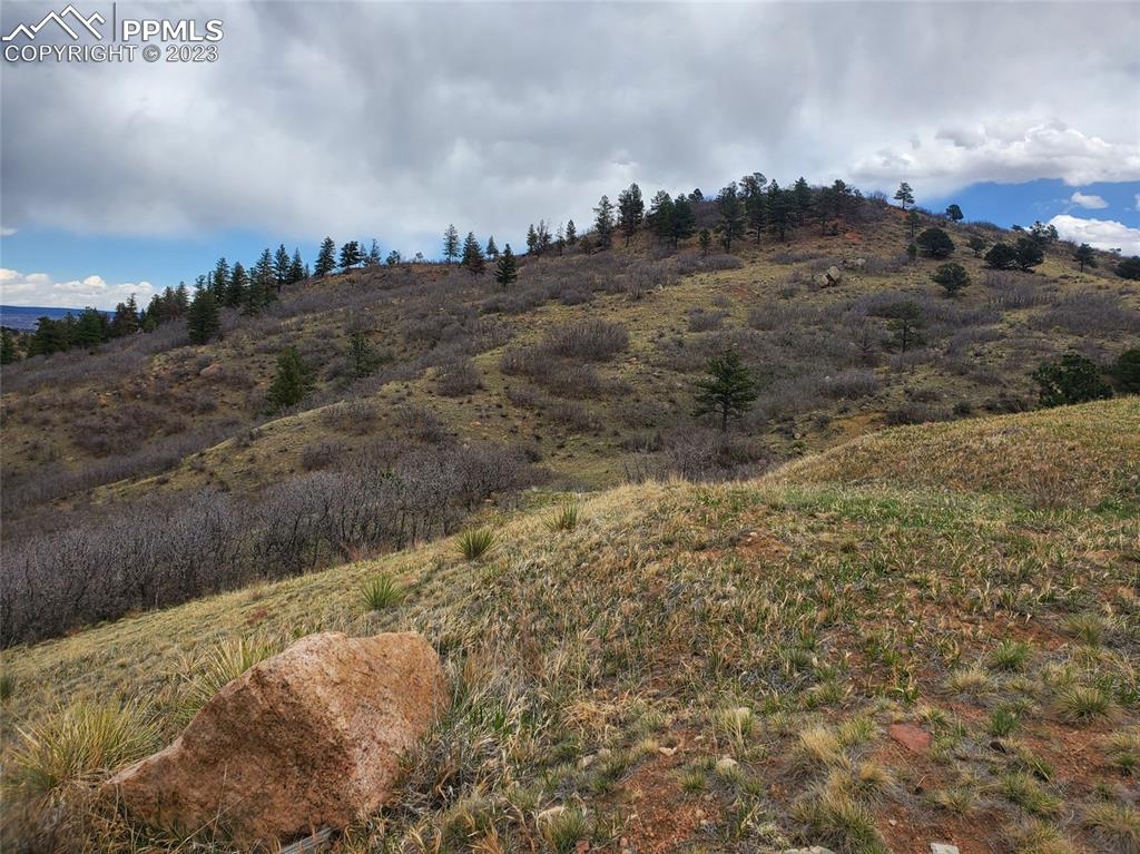 4065 West Woodmen Road Colorado Springs, CO 80919 - Photo 5 of 6