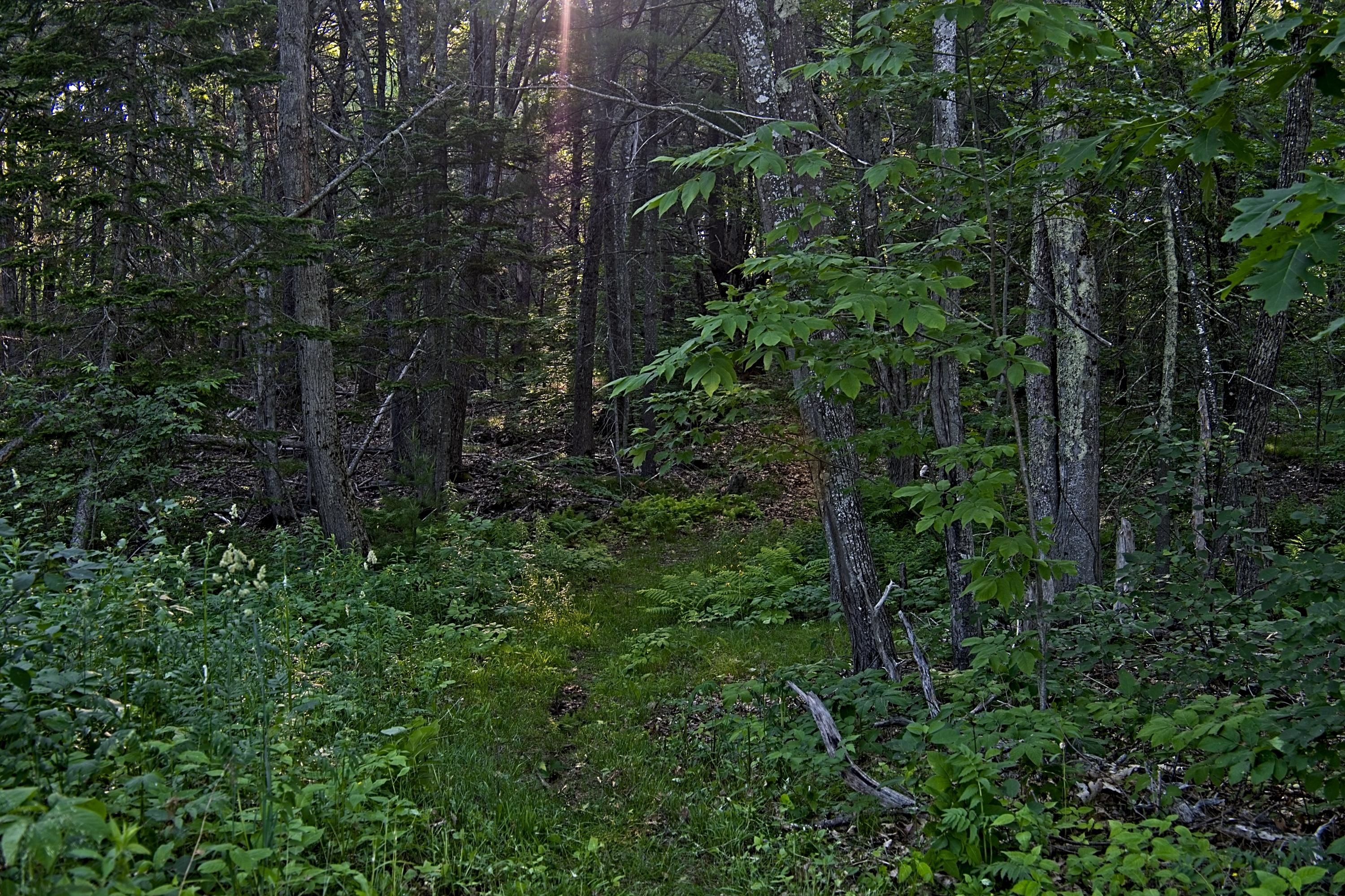 51 West Meadow Road Rockland, ME 04841 - Photo 5 of 20 08-West Meadow-Rockland-JAC