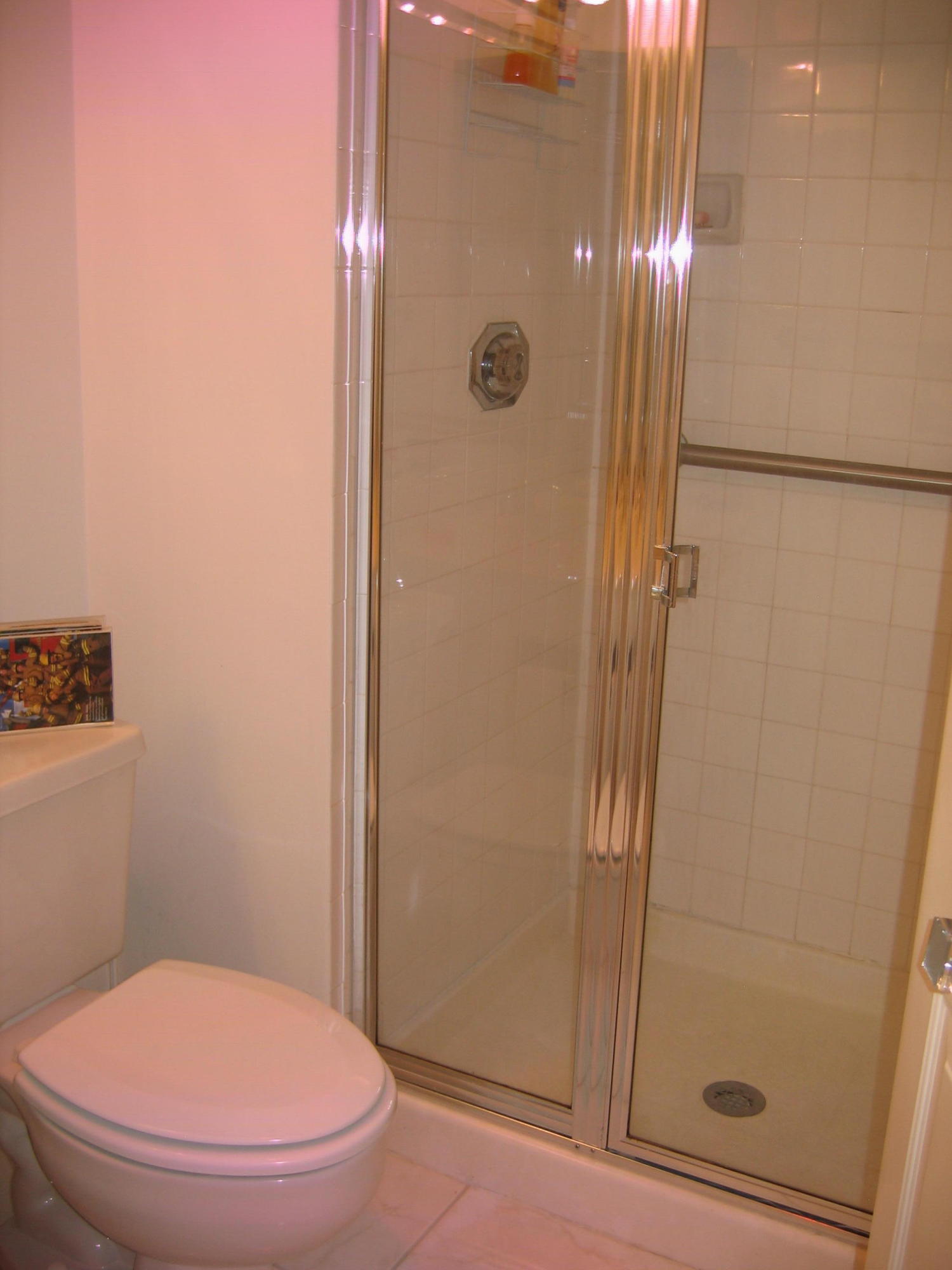 21946 Arriba Real, Unit 2C Boca Raton, FL 33433 - Photo 25 of 43 2nd Bathroom