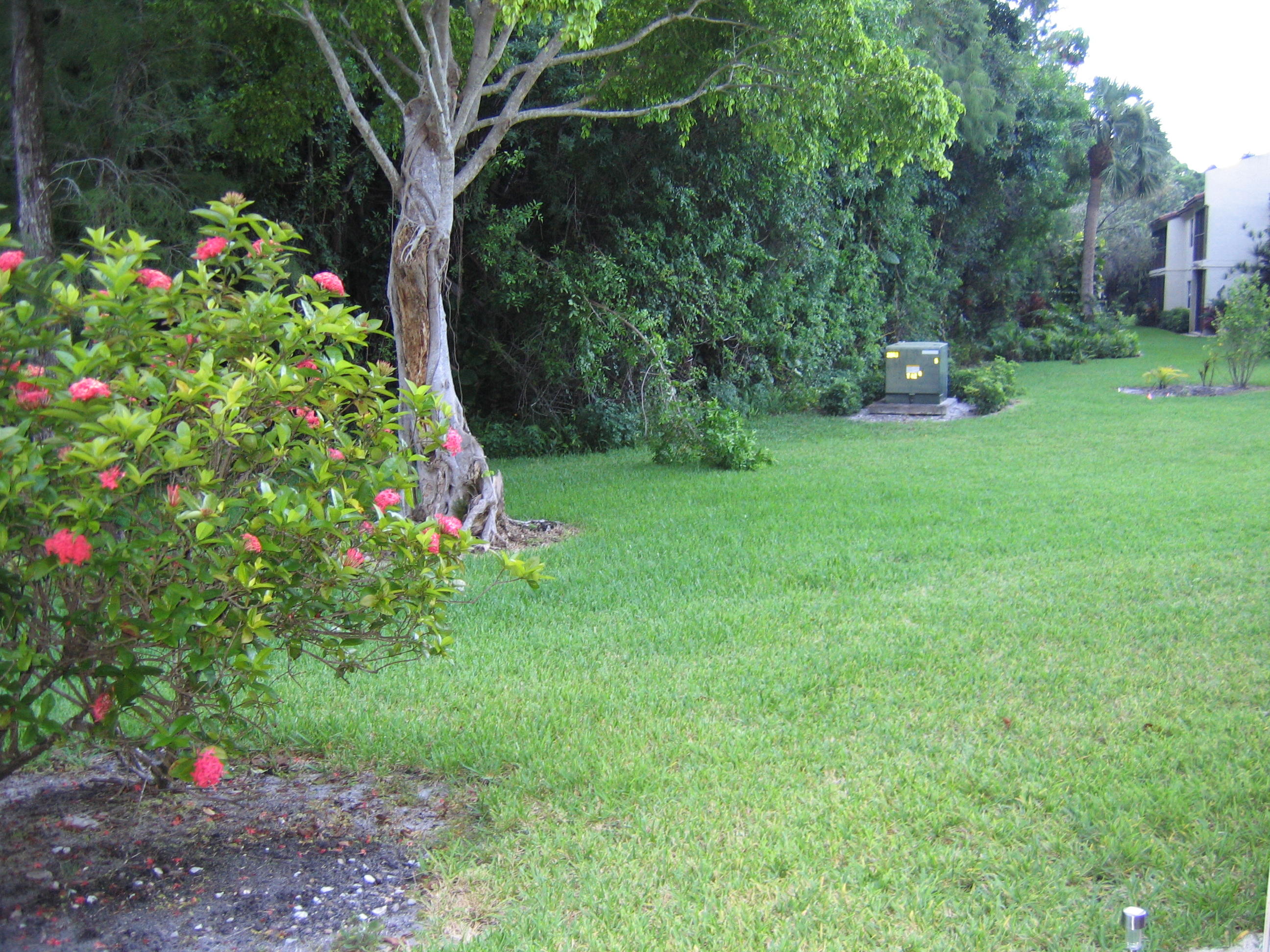 21946 Arriba Real, Unit 2C Boca Raton, FL 33433 - Photo 29 of 43 Patio View