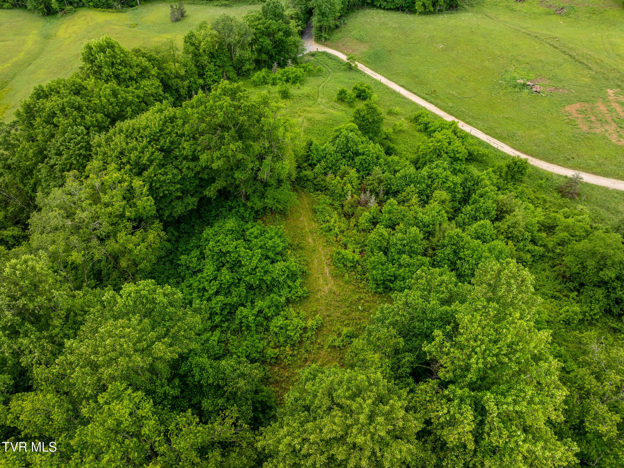 Tbd Walnut Mountain Road Butler, TN 37640 - Photo 13 of 36 DJI_0424