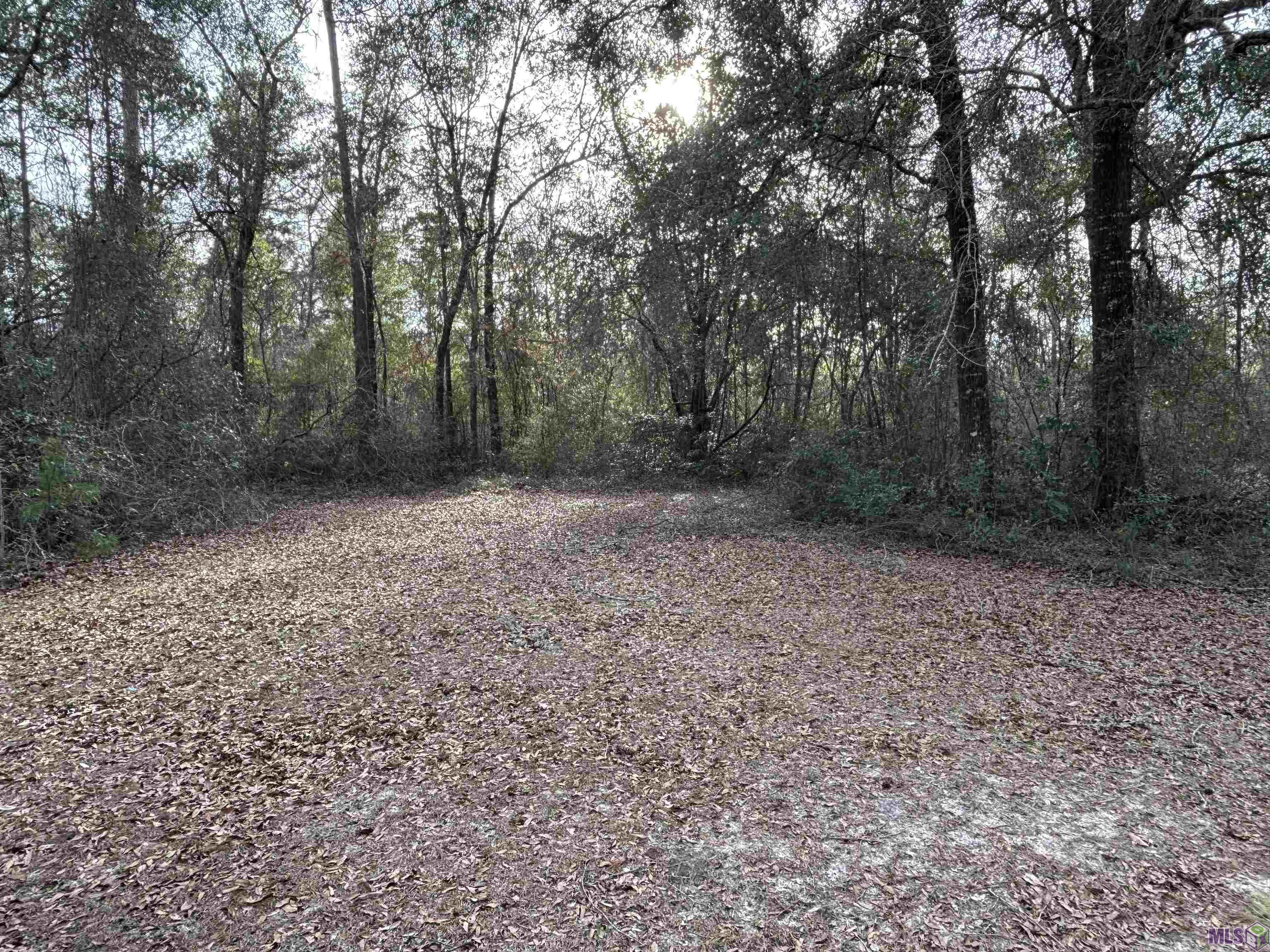 17282 McGehee Road Bogalusa, LA 70427 - Photo 24 of 34