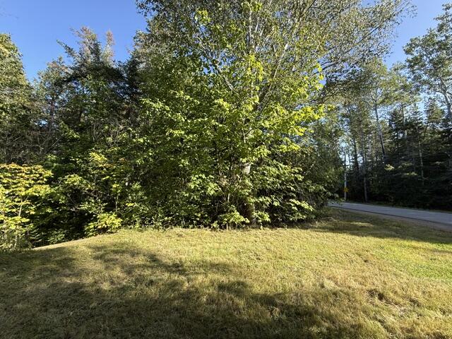815 Shore Road Perry, ME 04667 - Photo 110 of 115 IMG_5542 (1)